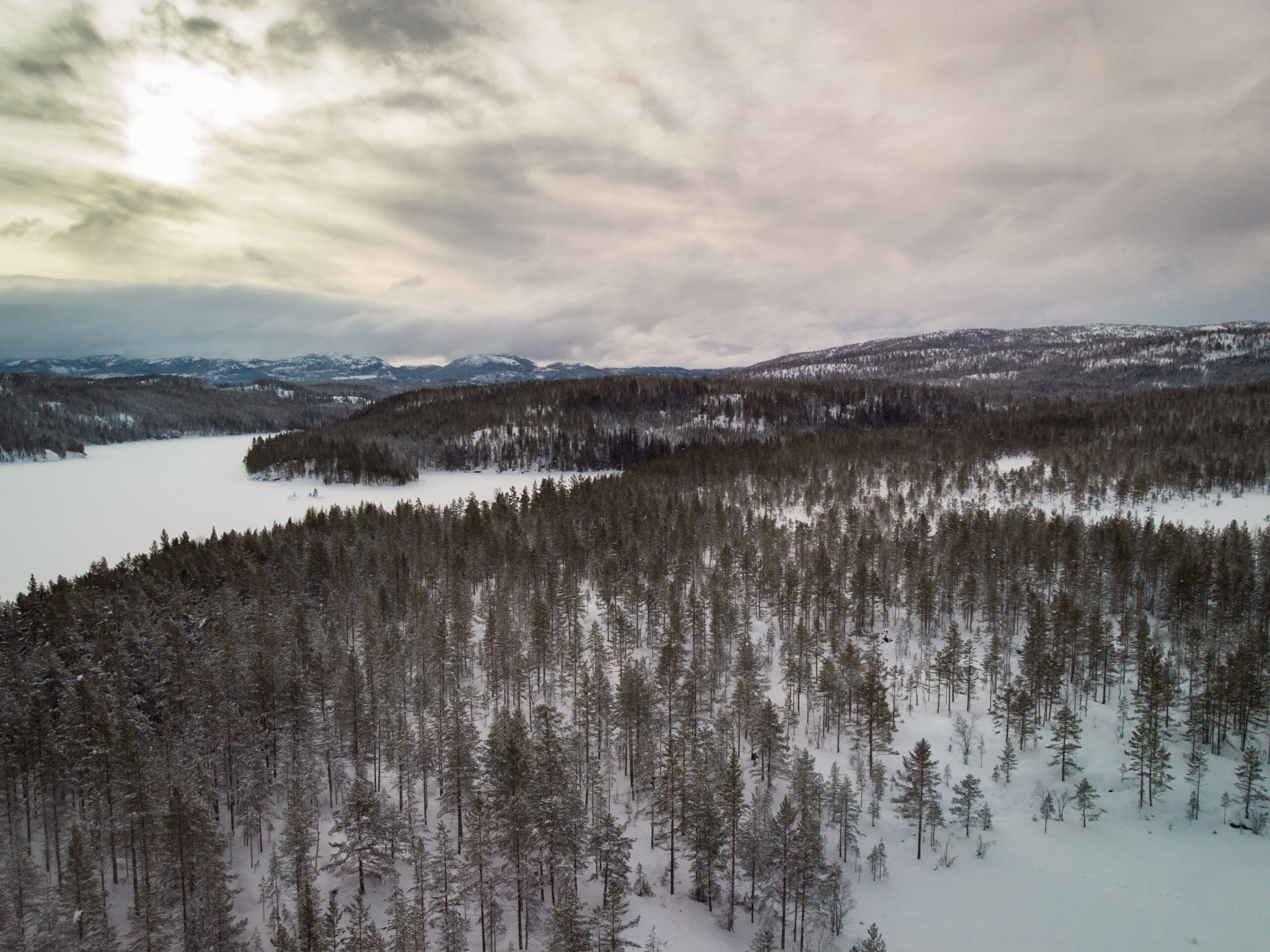 Aerial view of remote wilderness terrain