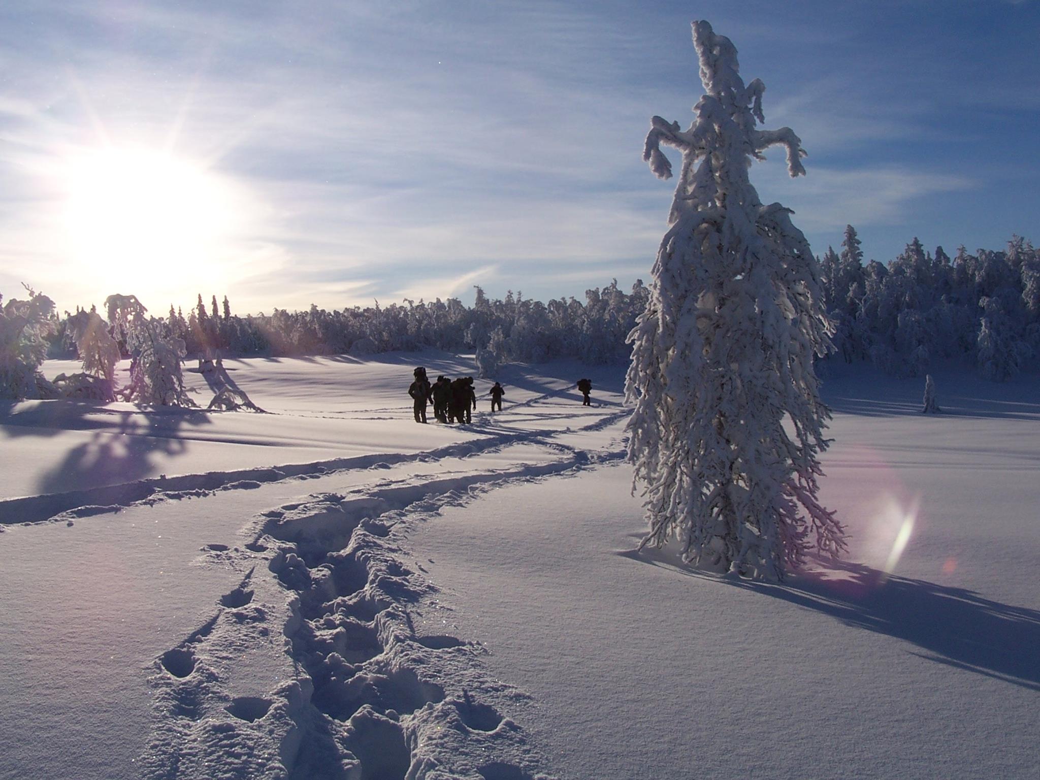 ICSOS training field impression