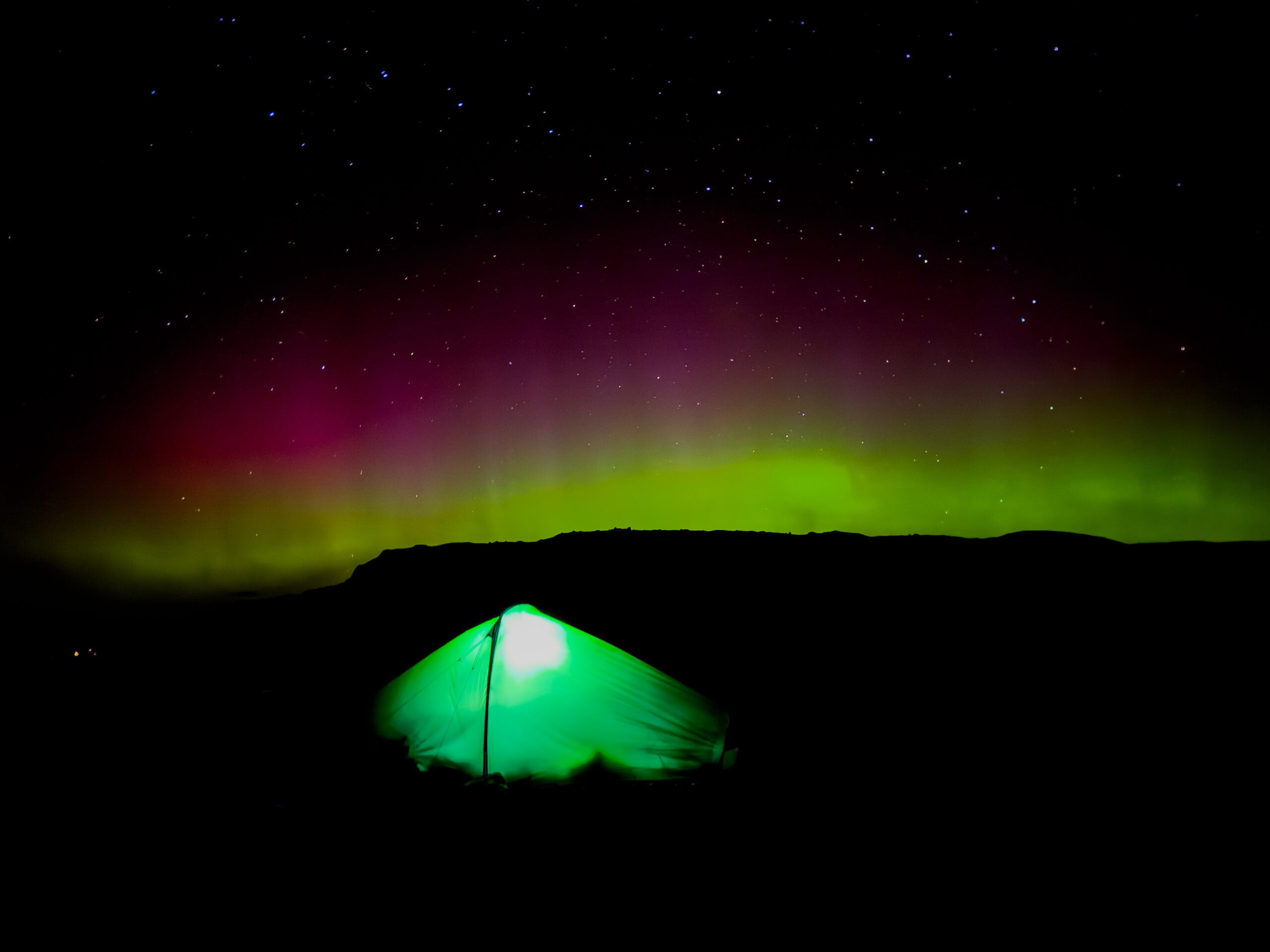 Surviking field impression 2