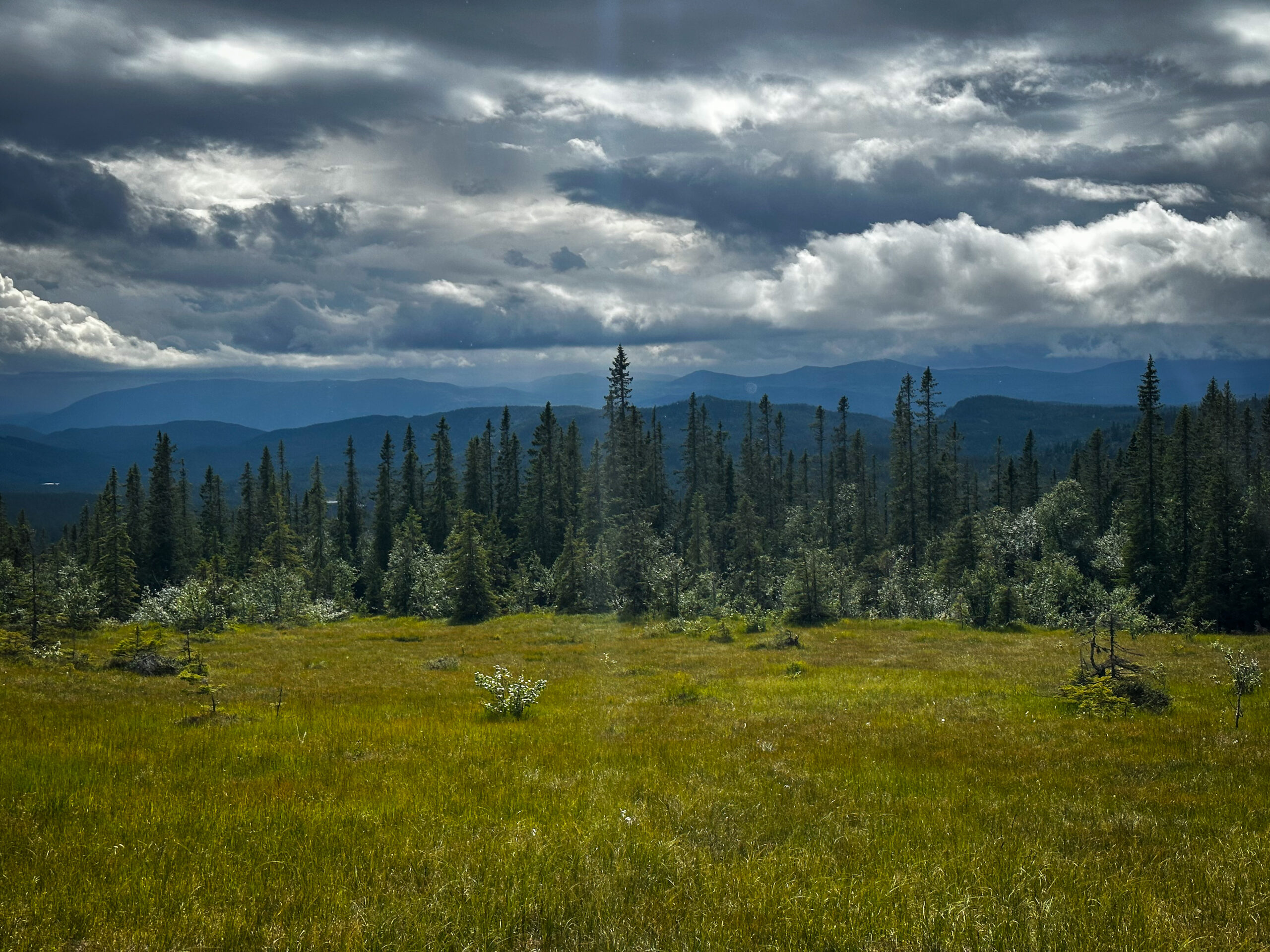 Wilderness Guide Boreal Forest Scandinavia – lakes and forest terrain
