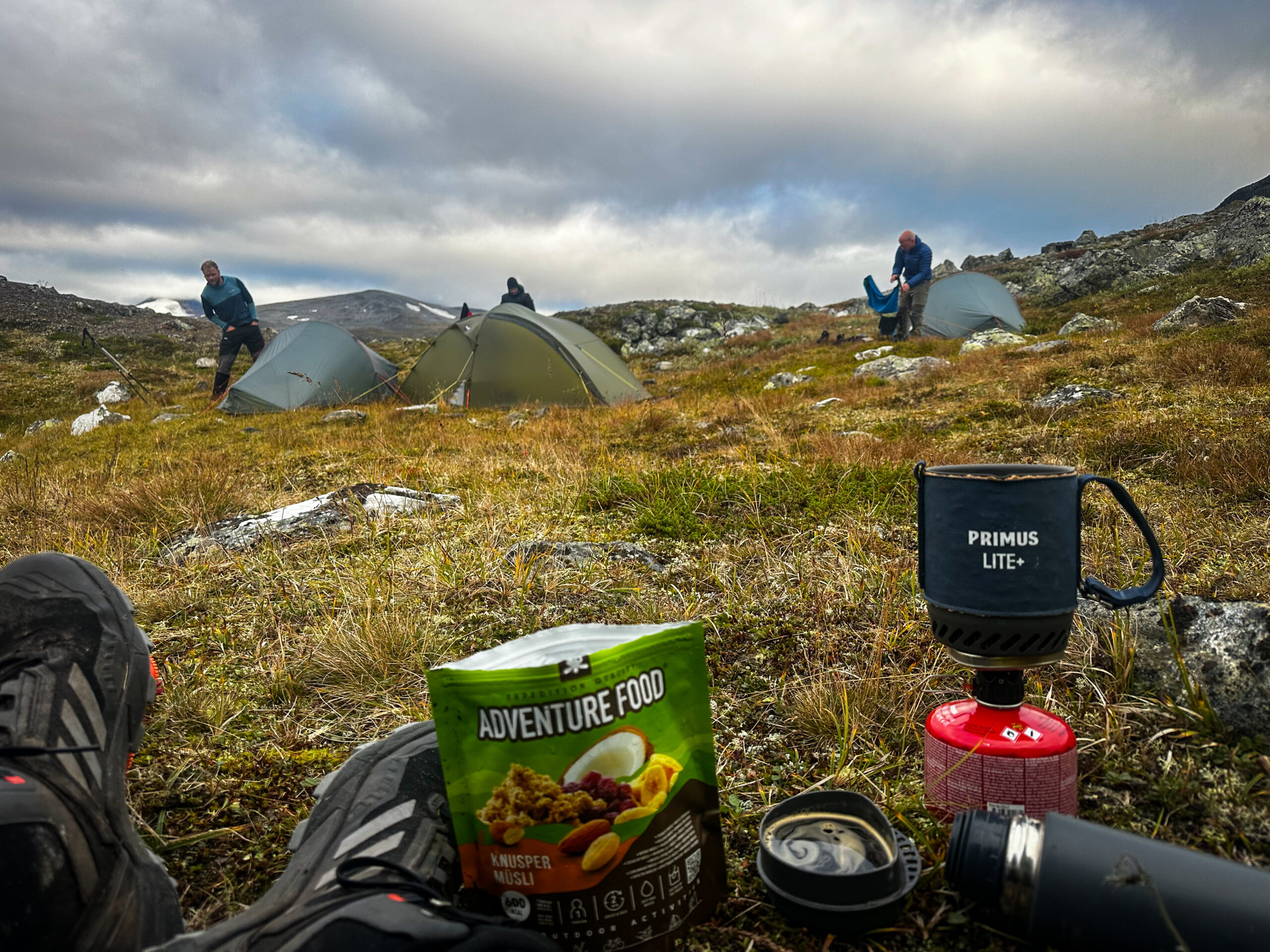 Surviking field impression 3