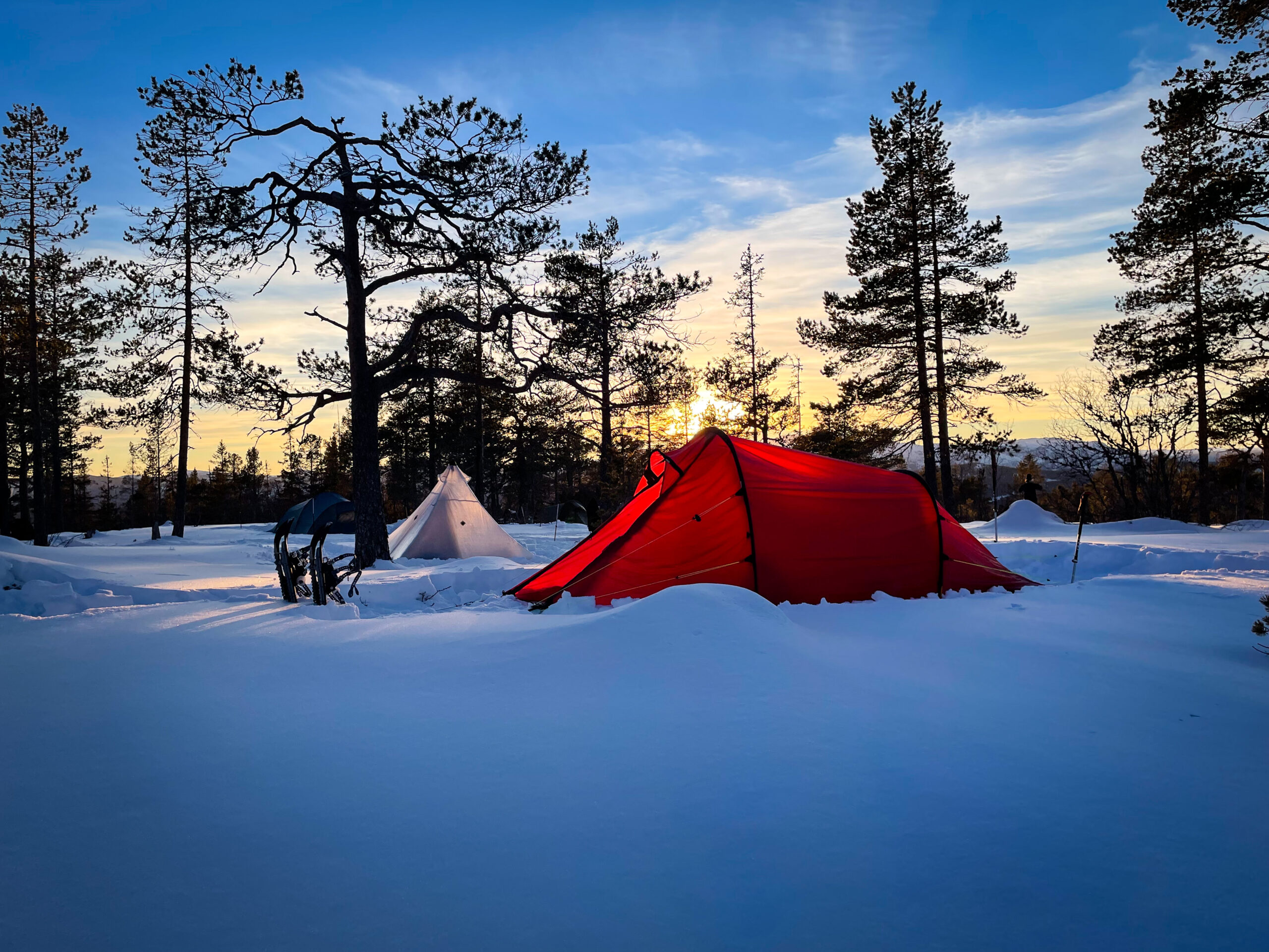 Surviking field impression 1