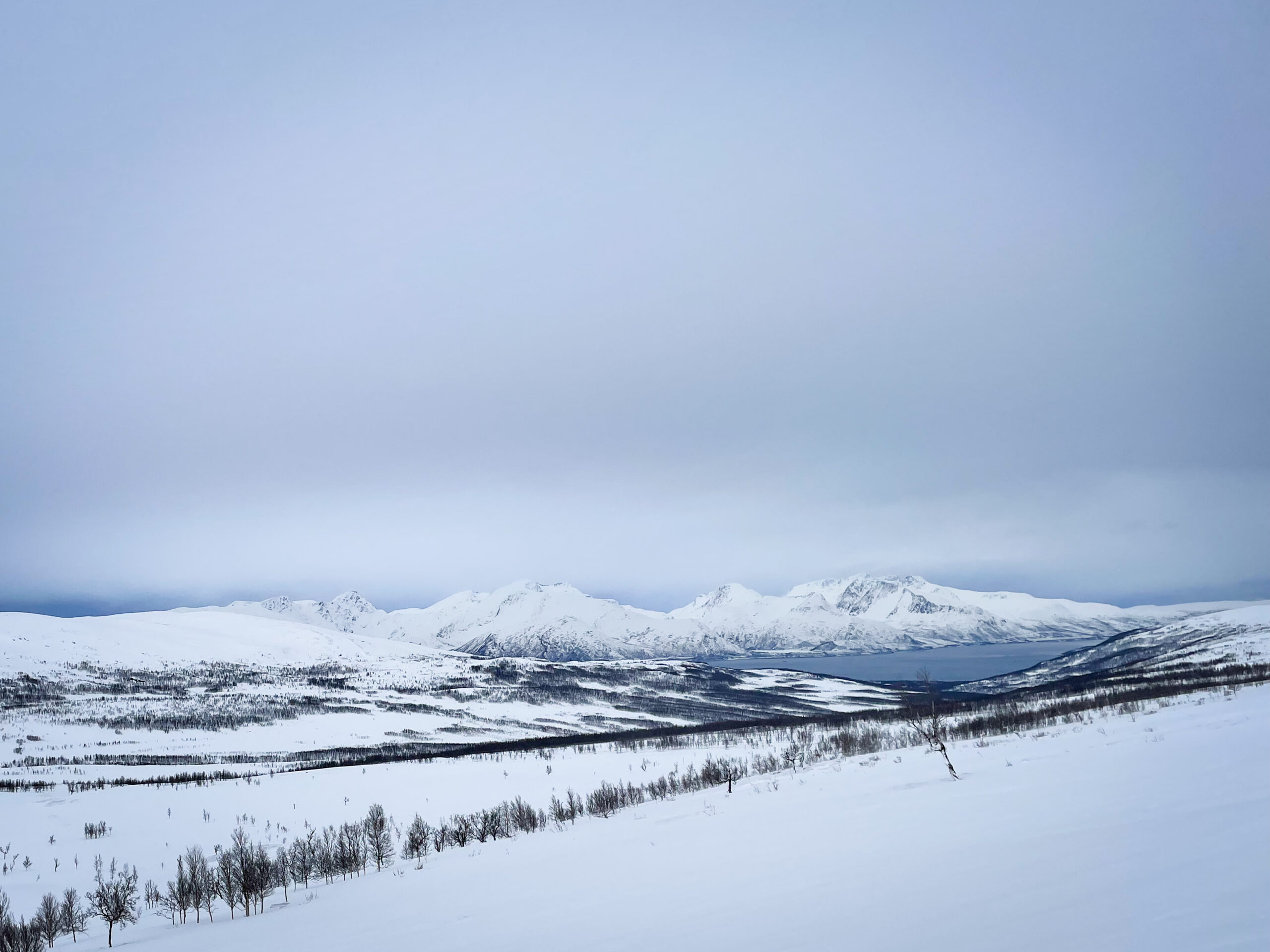Wilderness Guide Arctic Northern Scandinavia