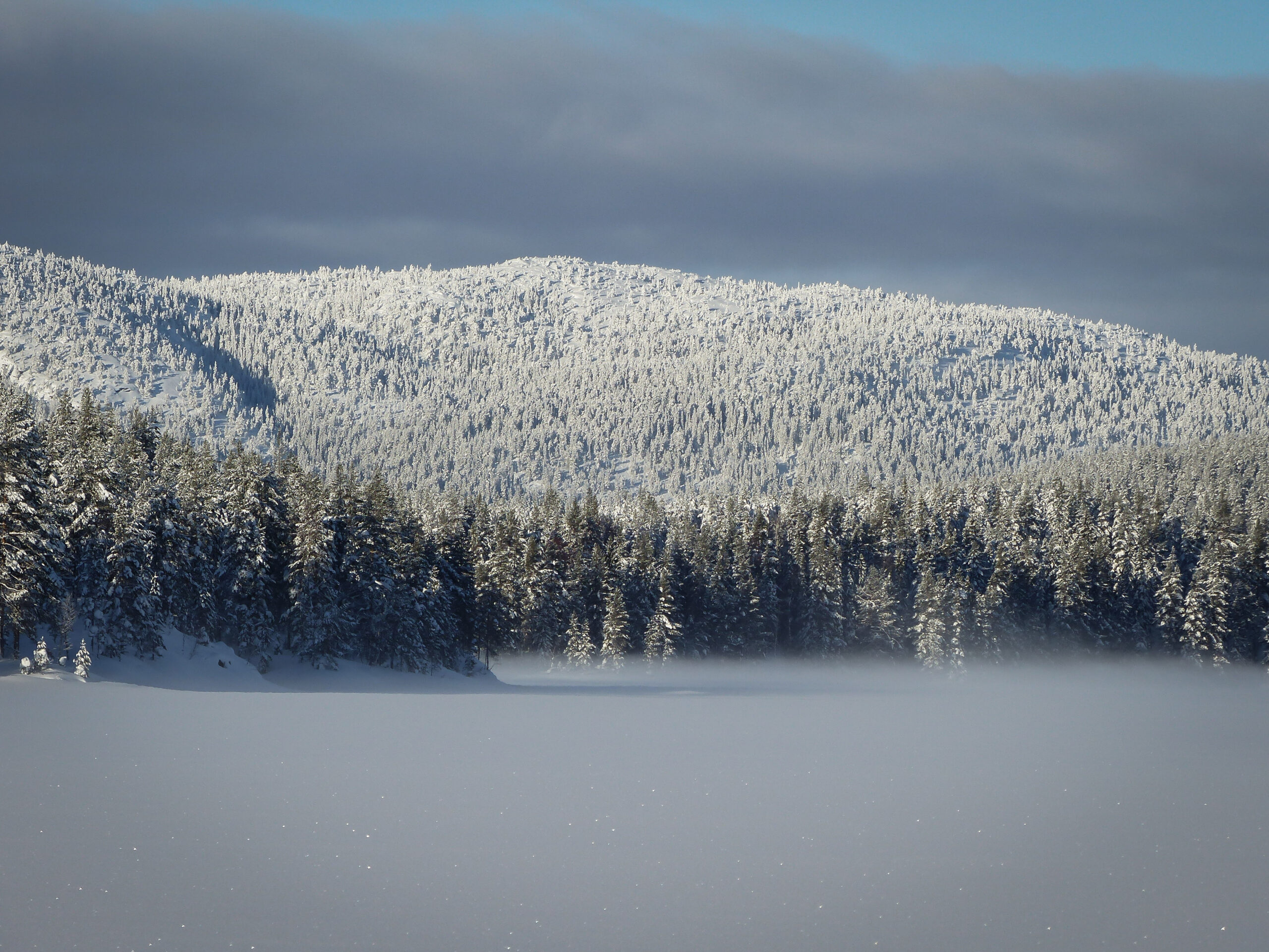 Wilderness Guide Boreal Forest Canada – remote boreal wilderness
