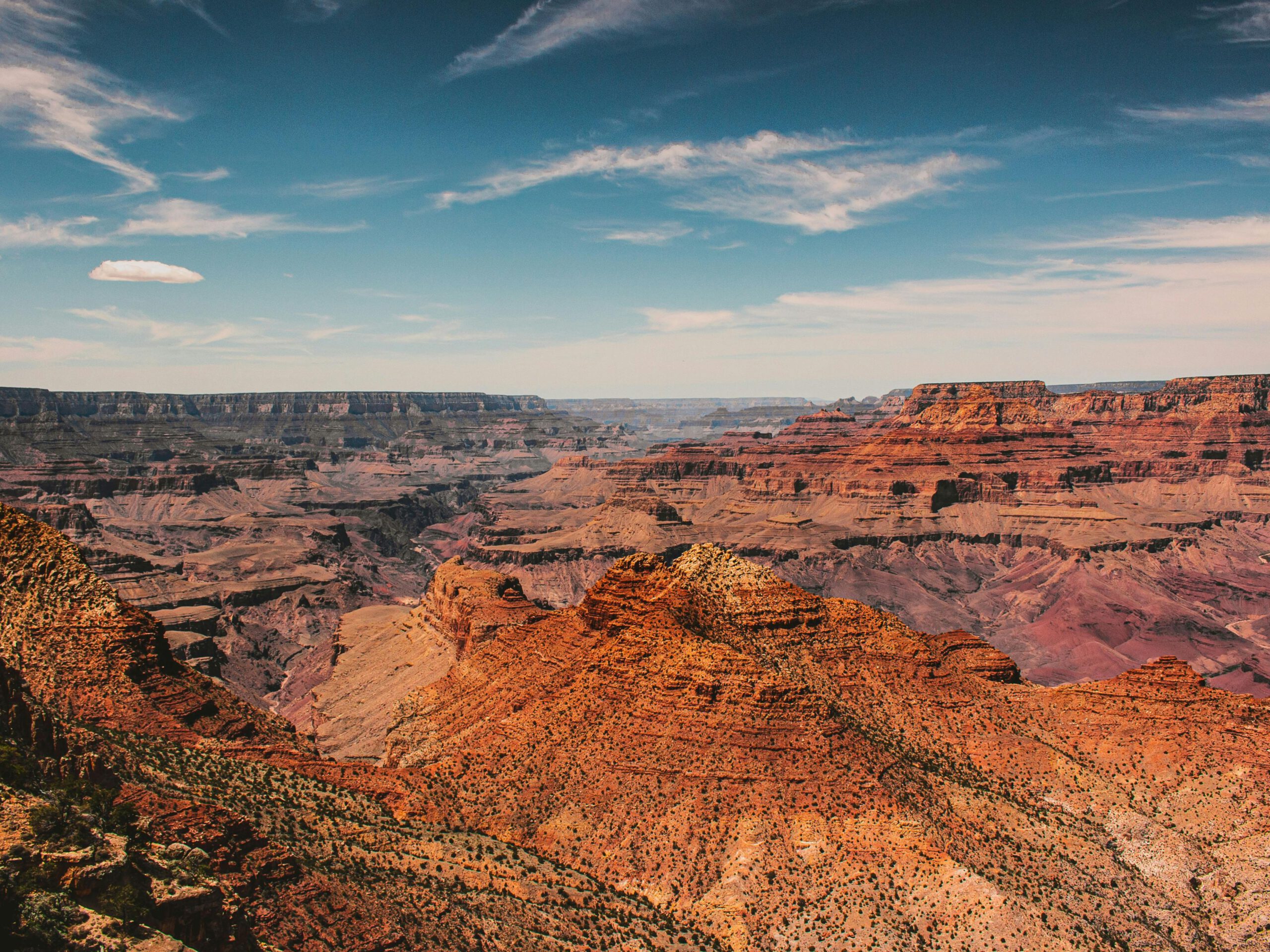 Wilderness Guide Desert North America – canyon systems and arid plateaus