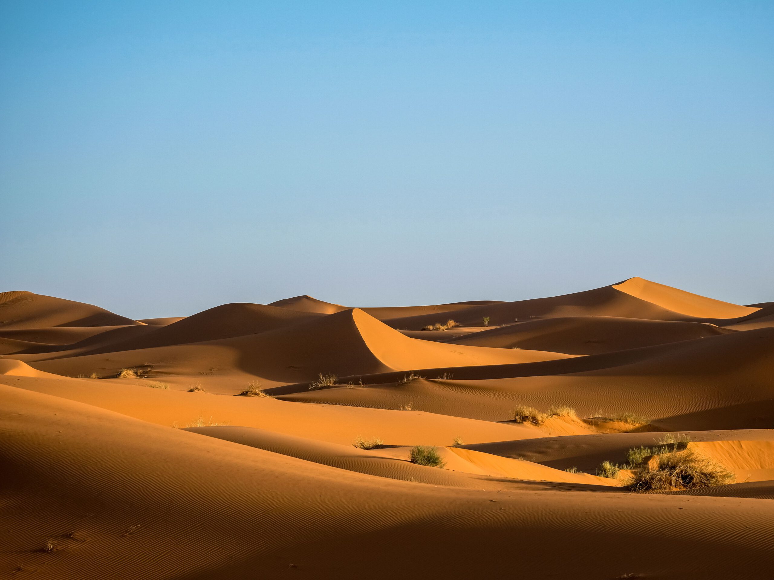 Wilderness Guide Desert Middle East – dune fields and heat exposure