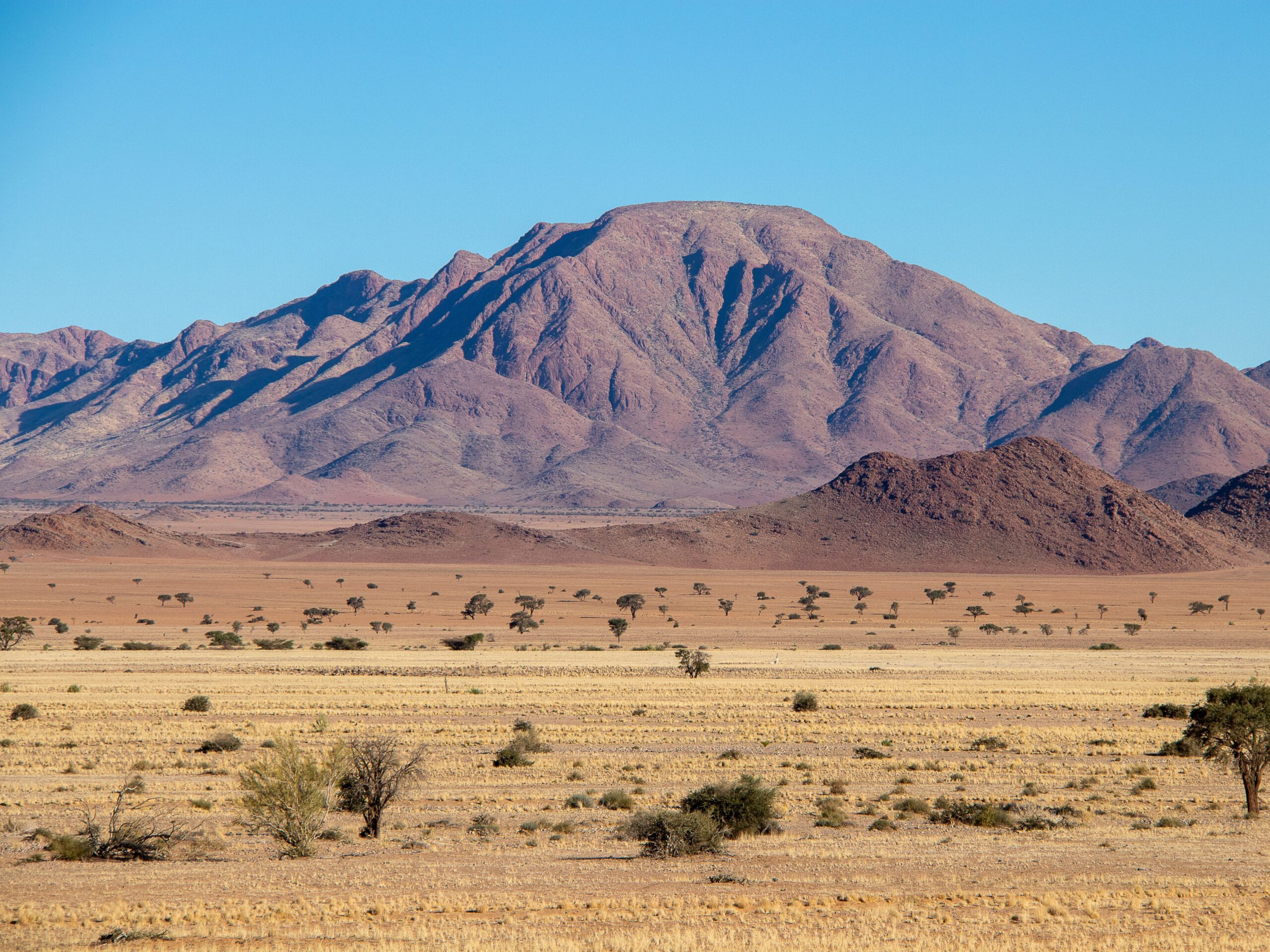 Wilderness Guide Desert – desert expedition environment