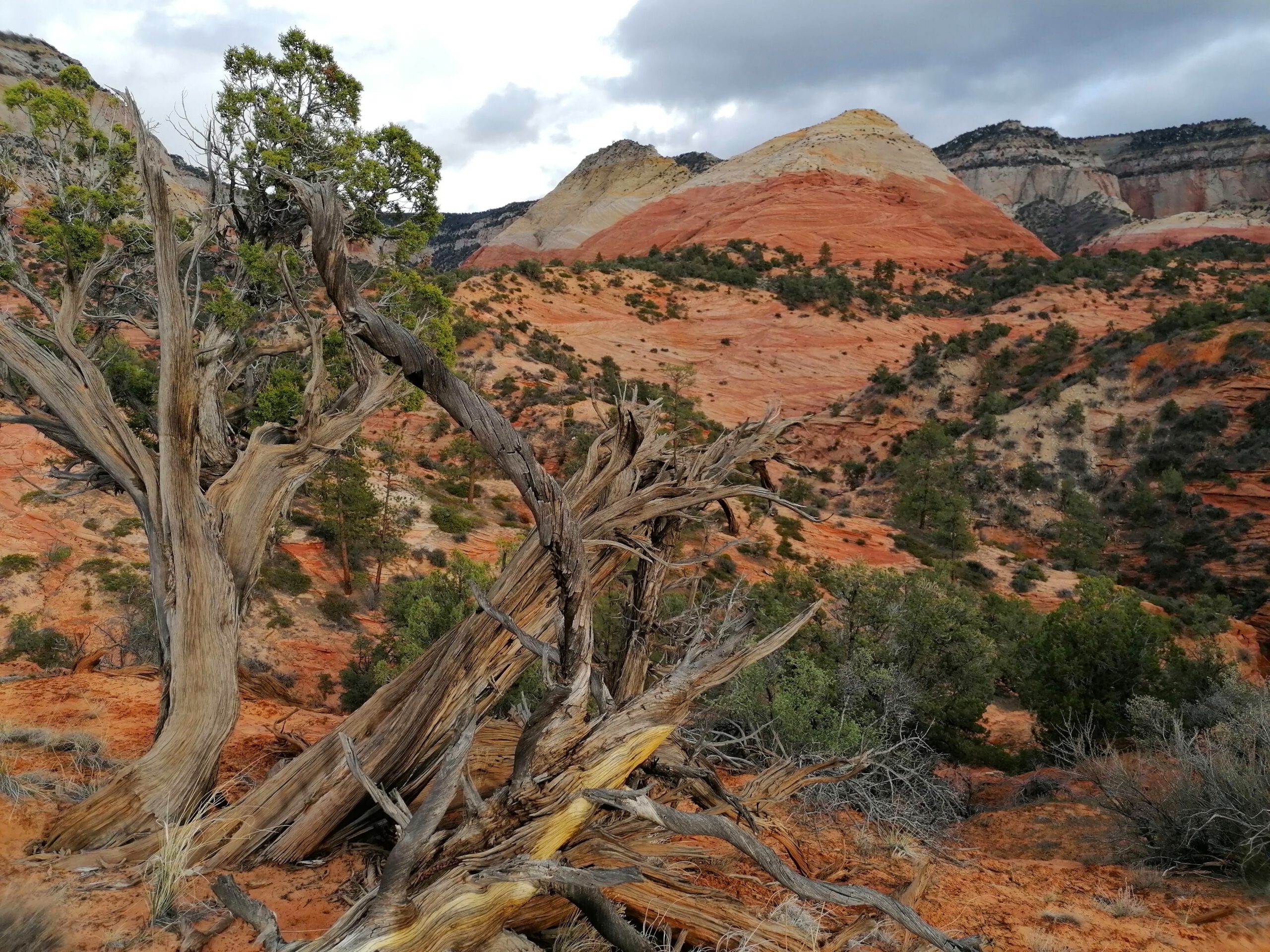 Bigtime Aventura - desert terrain