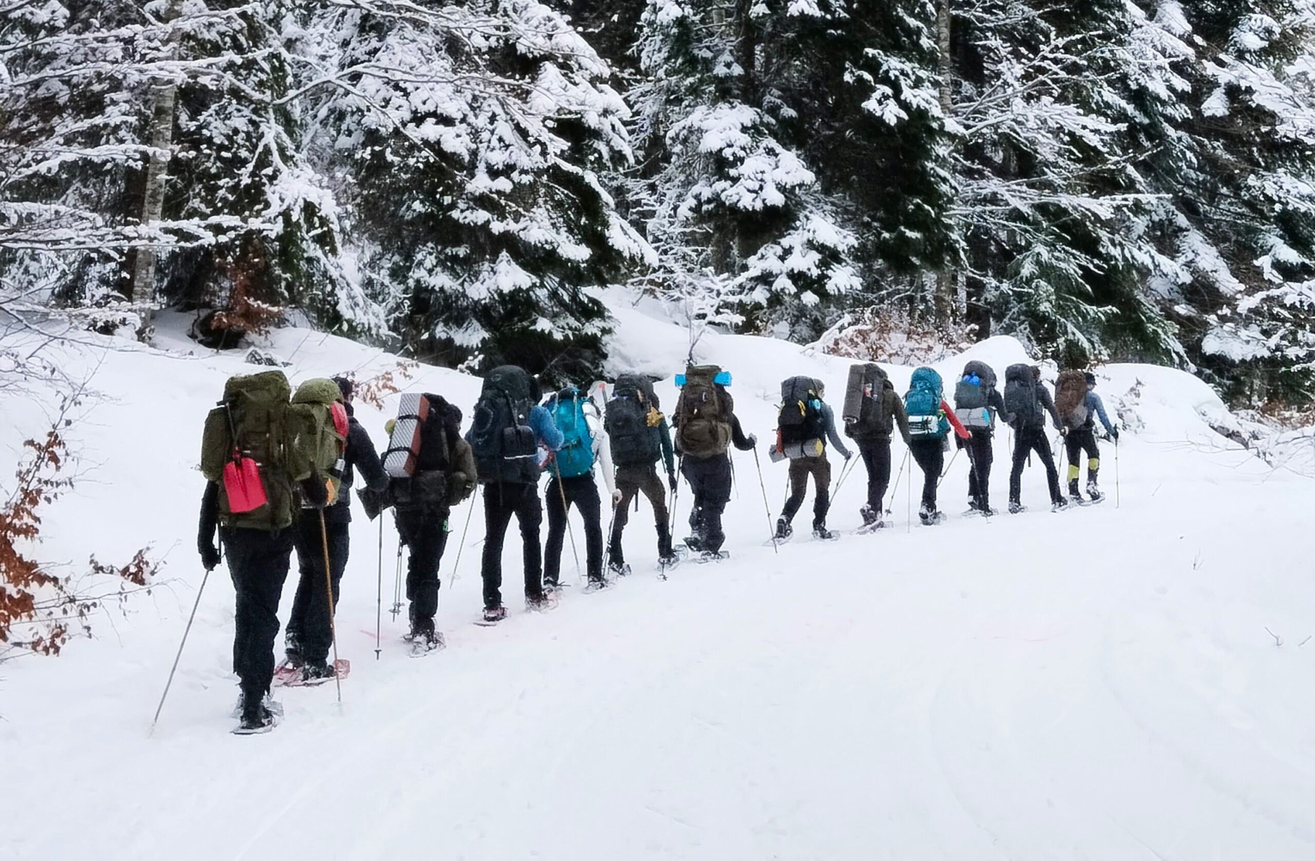 Bigtime Aventura - snowshoeing